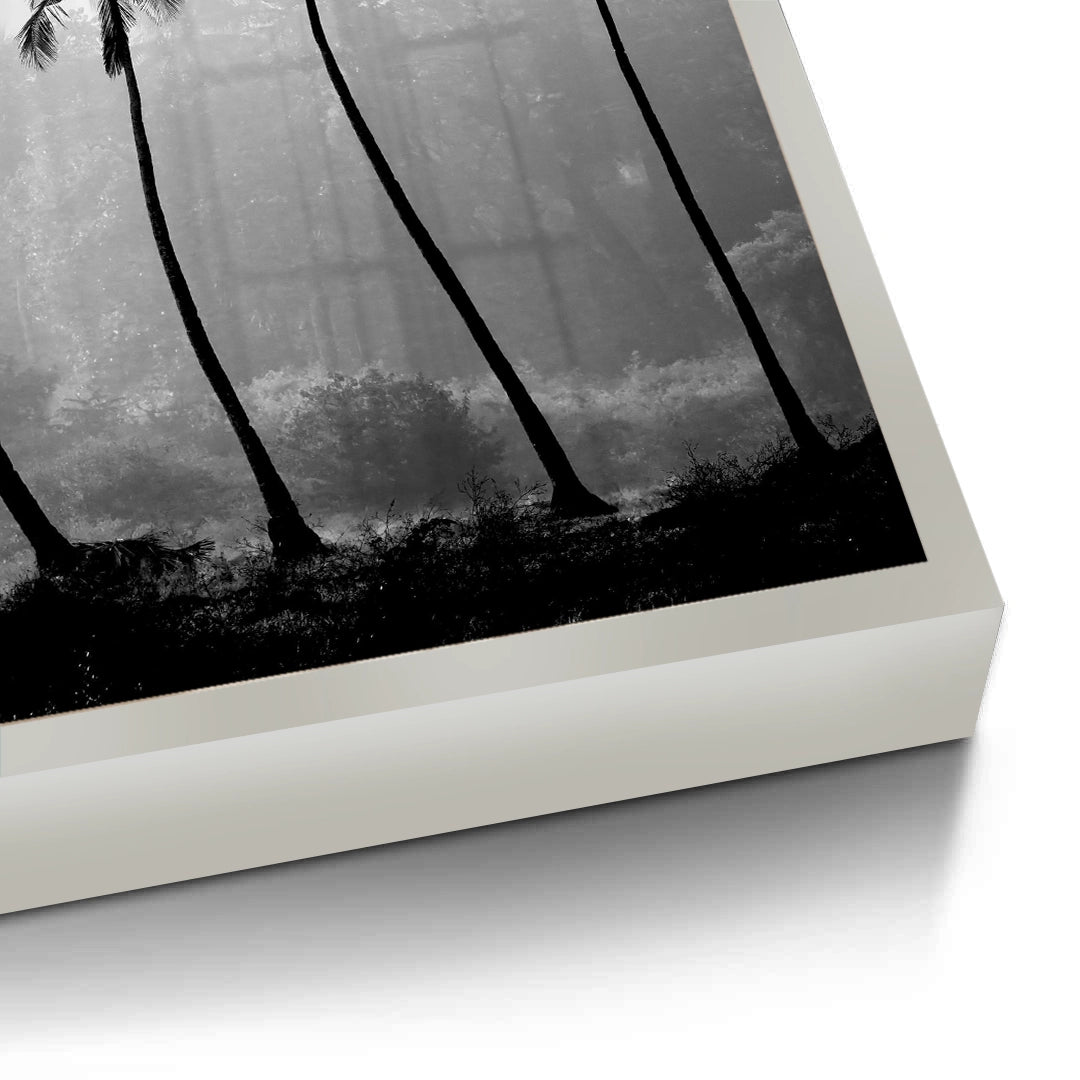 2Monochrome Palm Silhouette - Fine Art