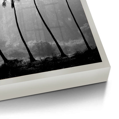 Monochrome Palm Silhouette - Fine Art