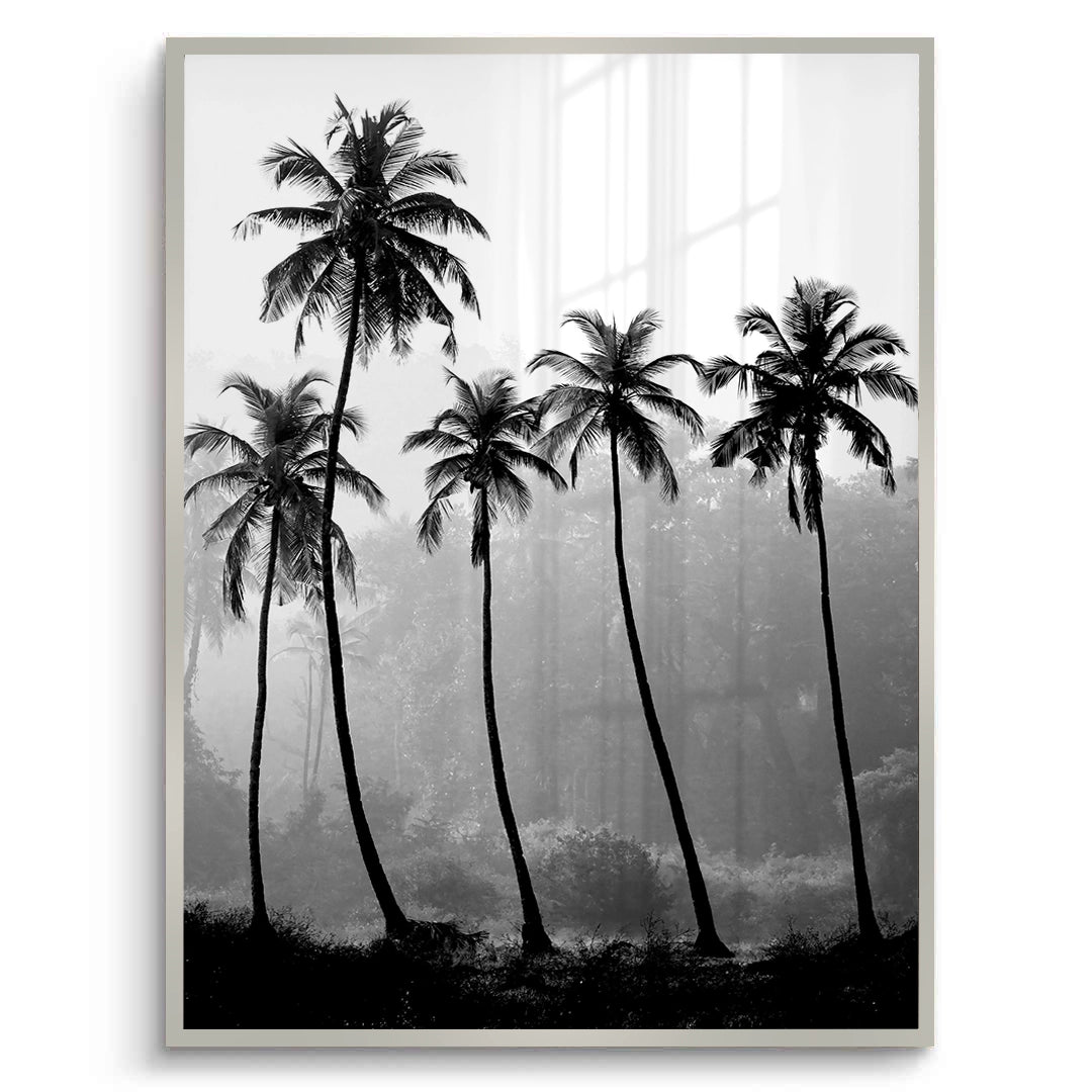 2Monochrome Palm Silhouette - Fine Art