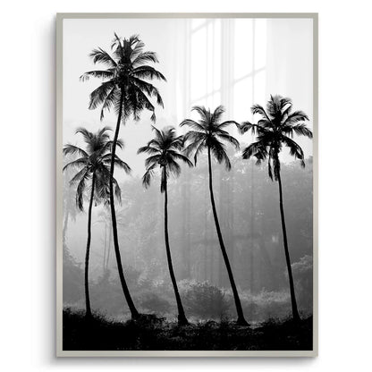 Monochrome Palm Silhouette - Fine Art