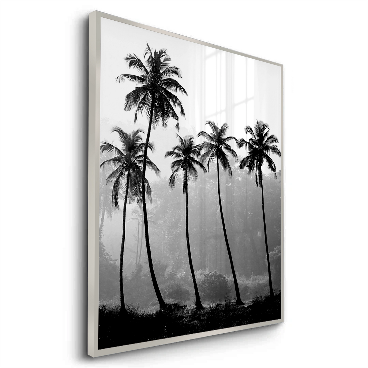 2Monochrome Palm Silhouette - Fine Art