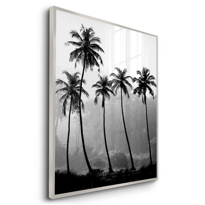 Monochrome Palm Silhouette - Fine Art
