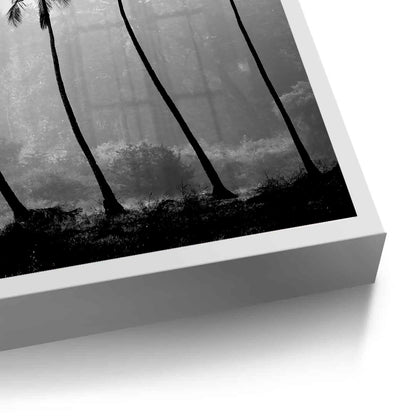 Monochrome Palm Silhouette - Fine Art