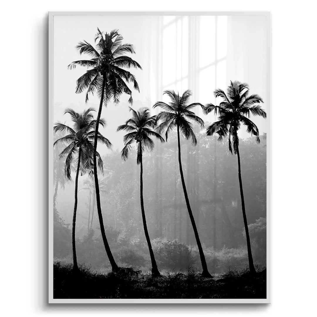 2Monochrome Palm Silhouette - Fine Art