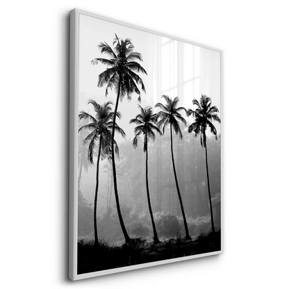 Monochrome Palm Silhouette - Fine Art