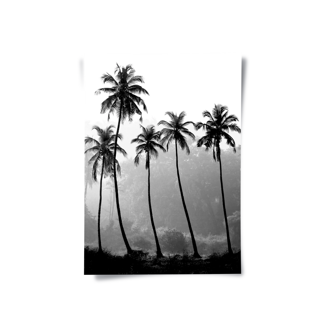Monochrome Palm Silhouette - Poster - Jasmineart.ae