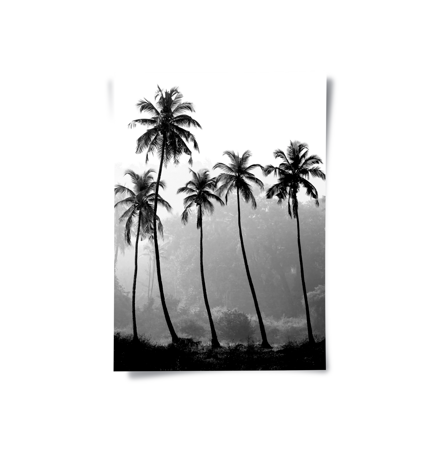 2Monochrome Palm Silhouette - Poster - Jasmineart.ae