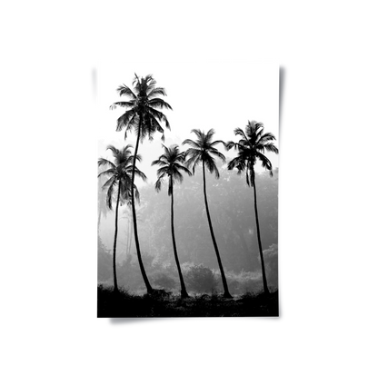 Monochrome Palm Silhouette - Poster - Jasmineart.ae