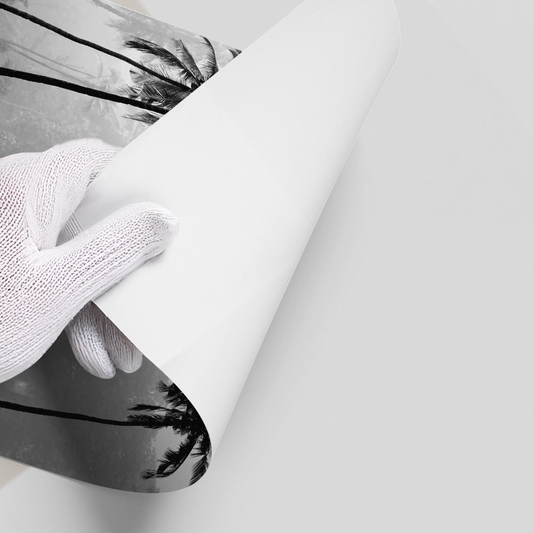 Monochrome Palm Silhouette - Poster