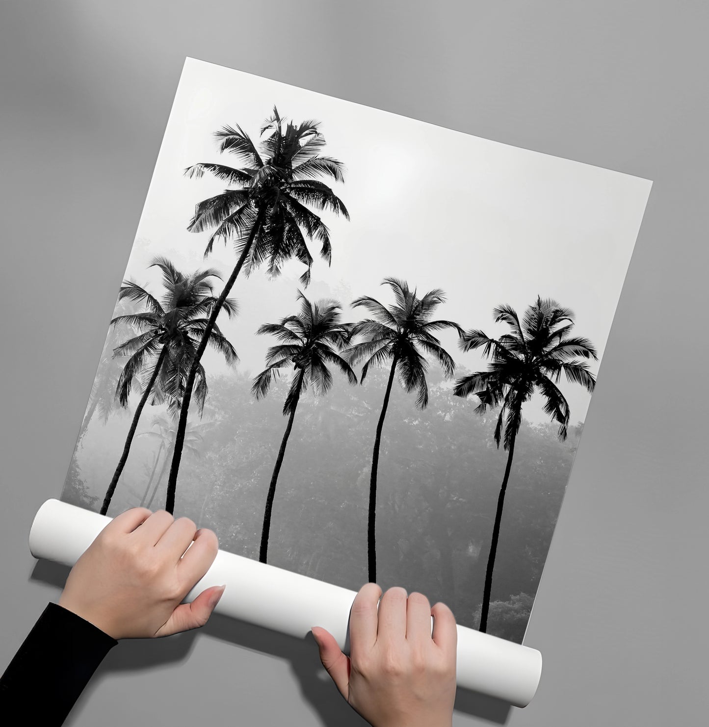 2Monochrome Palm Silhouette - Poster - Jasmineart.ae