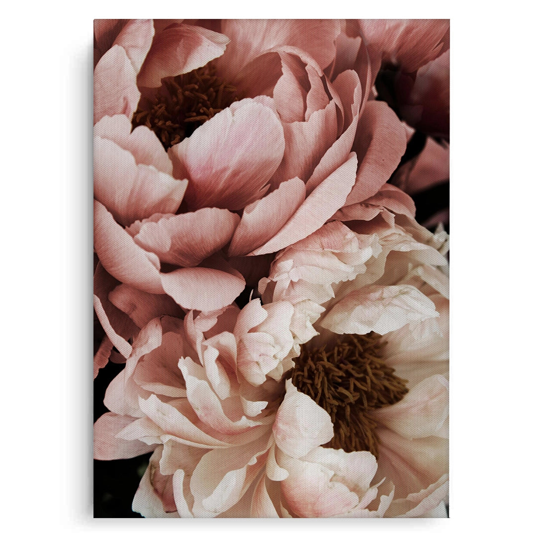 2Moody Dusty Rose - Canvas