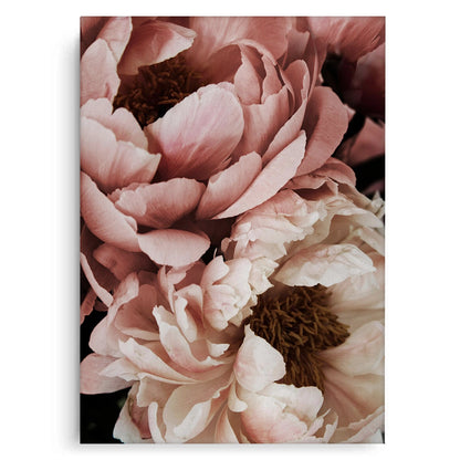 Moody Dusty Rose - Canvas