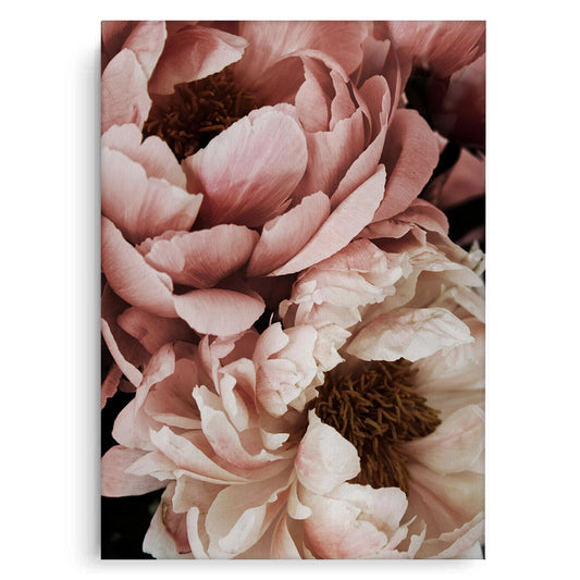 Moody Dusty Rose - Canvas