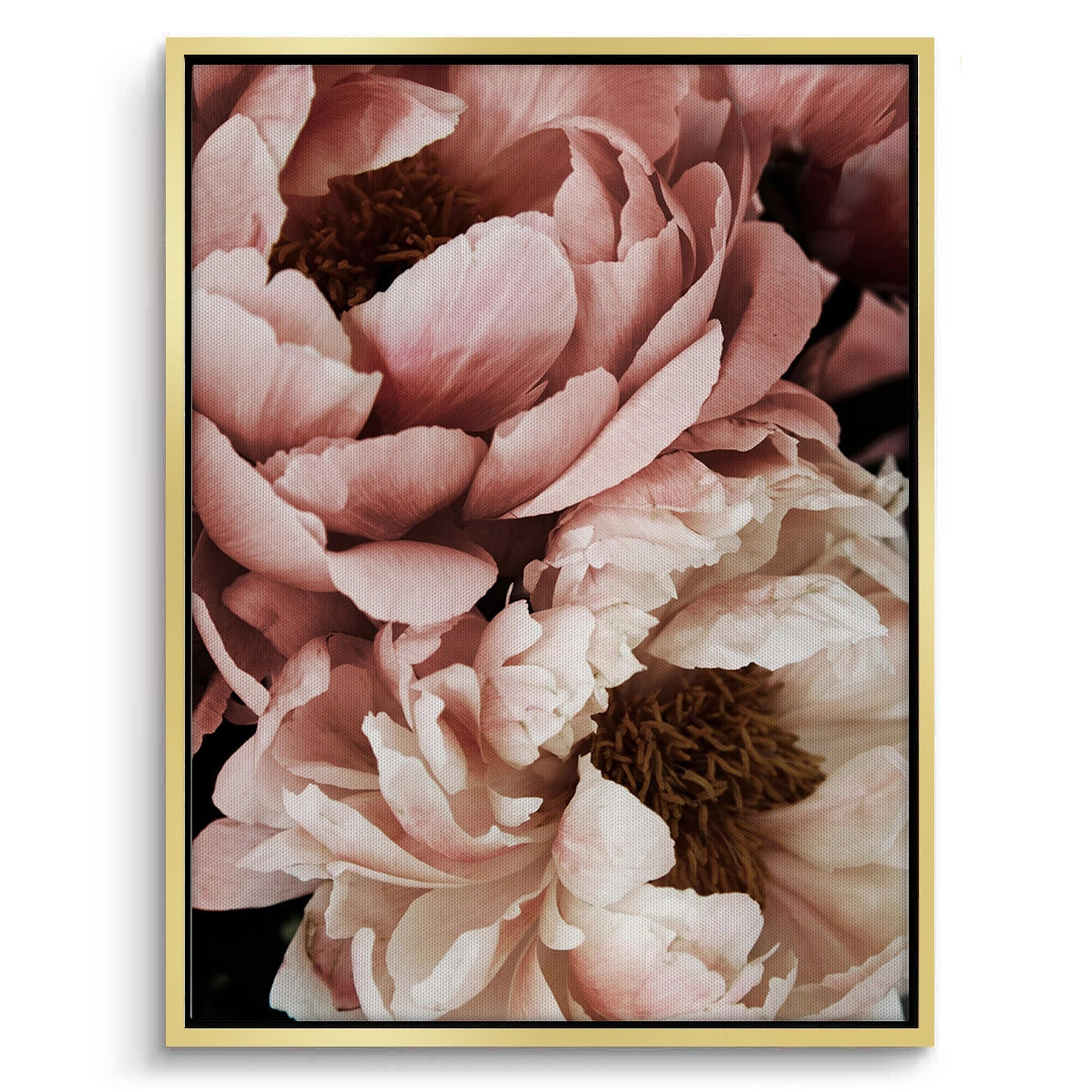 2Moody Dusty Rose - Canvas