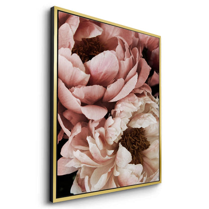 Moody Dusty Rose - Canvas