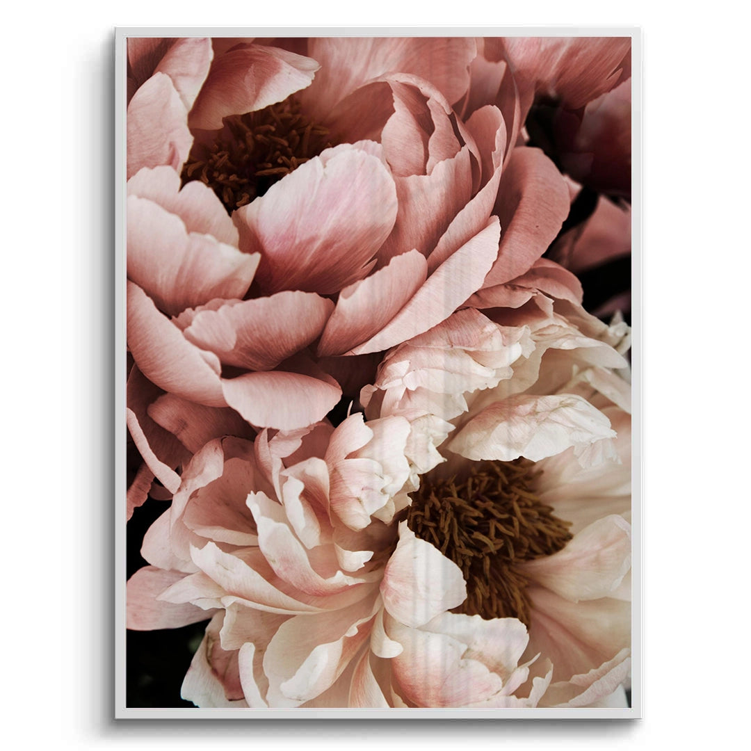 2Moody Dusty Rose - Fine Art