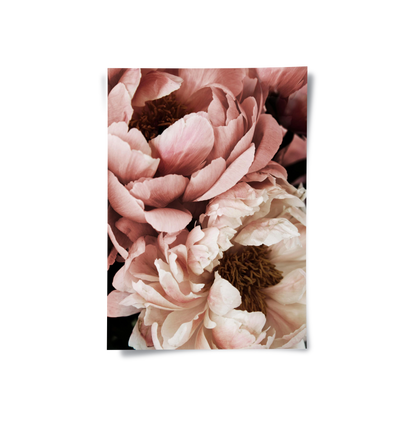 Moody Dusty Rose - Poster