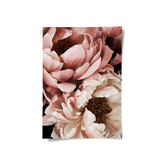 Moody Dusty Rose - Poster