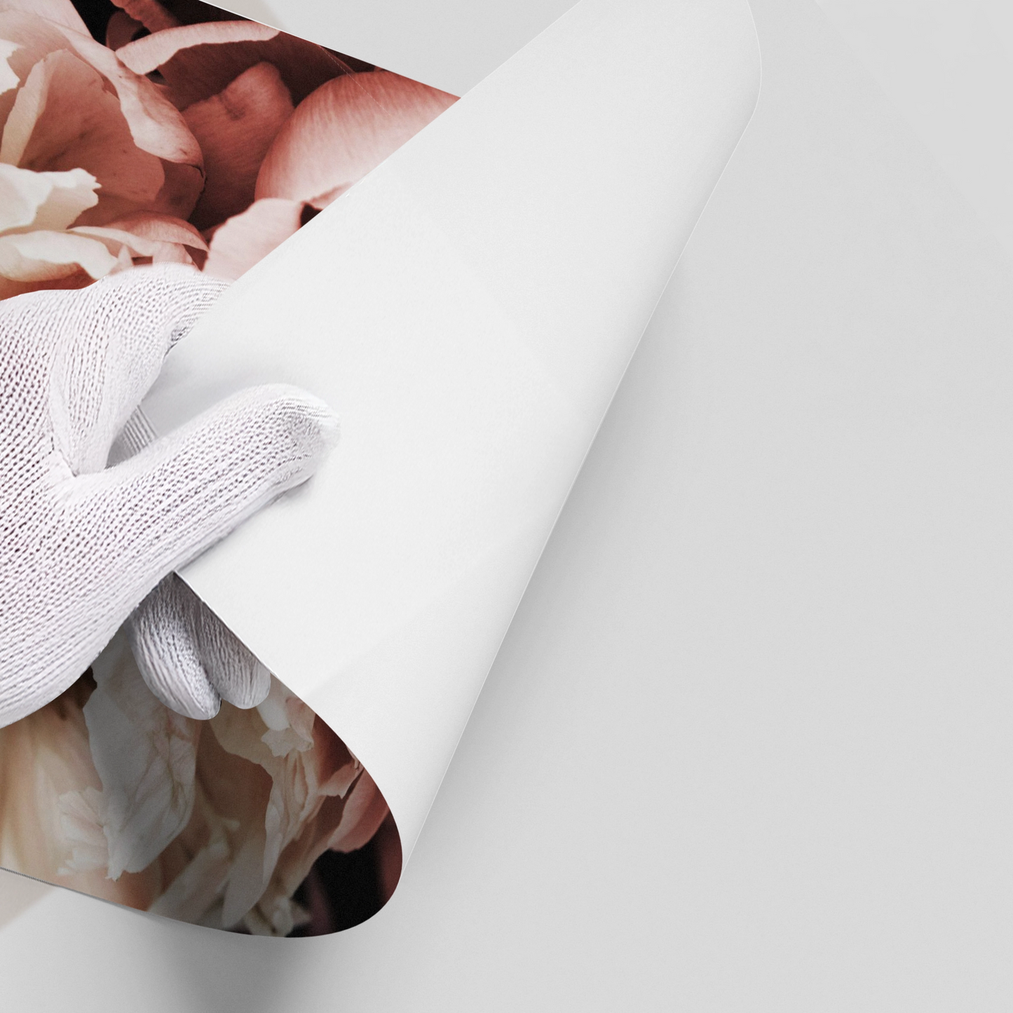 2Moody Dusty Rose - Poster