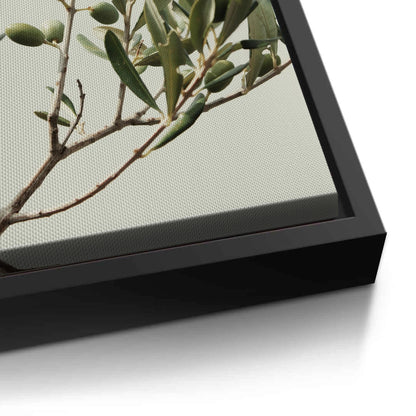 Olive Branch - Canvas
