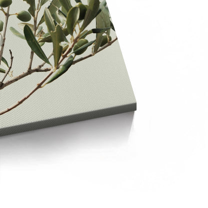 Olive Branch - Canvas