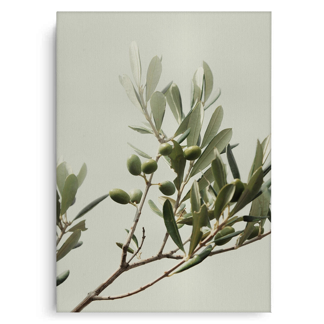 2Olive Branch - Canvas