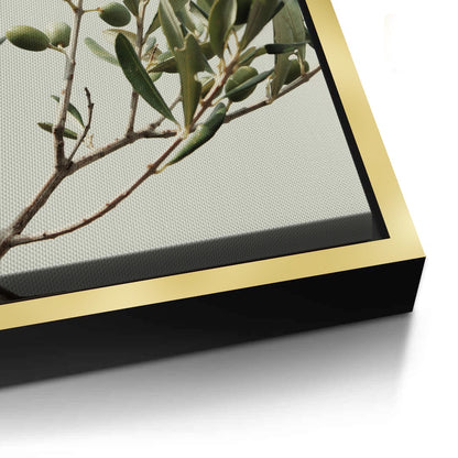 Olive Branch - Canvas