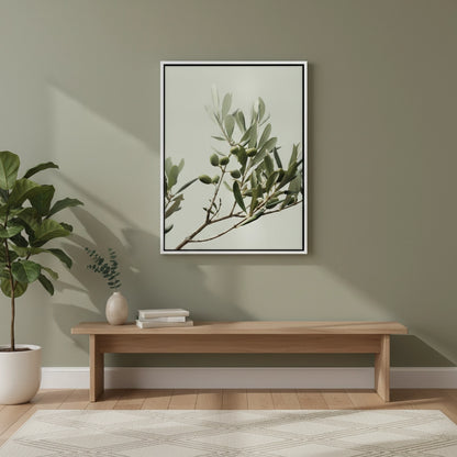 Olive Branch - Canvas