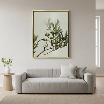 Olive Branch - Canvas