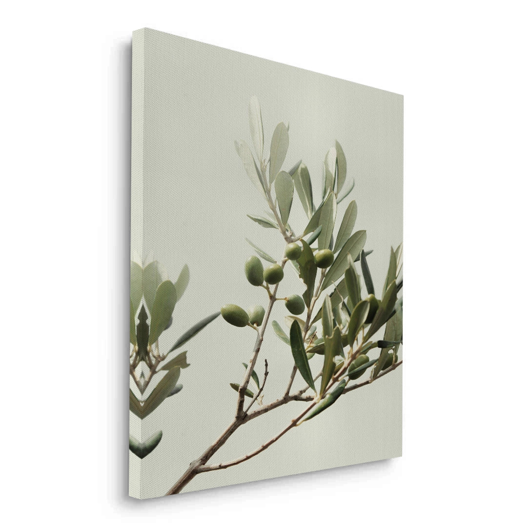 2Olive Branch - Canvas