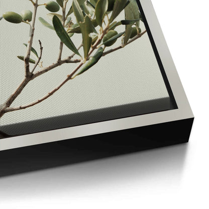 Olive Branch - Canvas