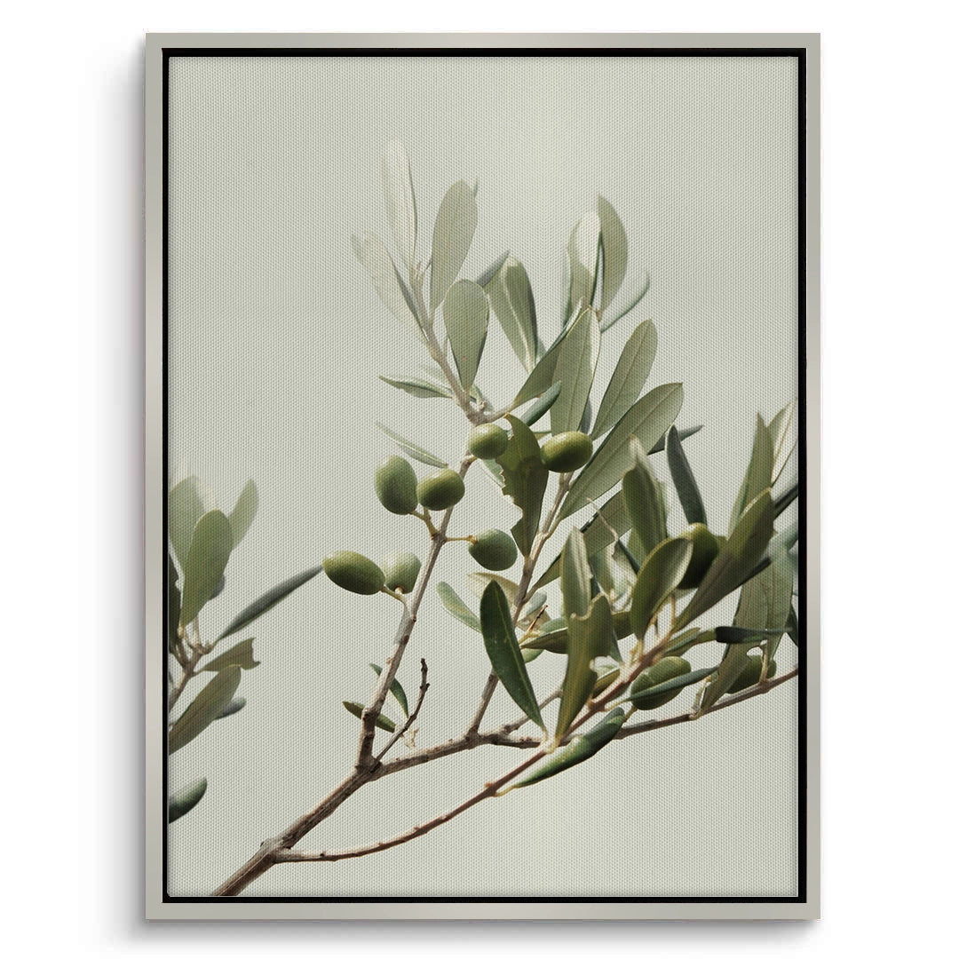2Olive Branch - Canvas
