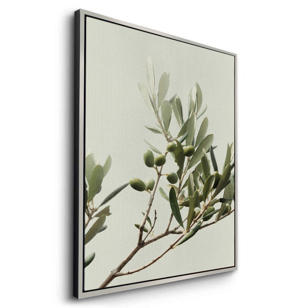 2Olive Branch - Canvas