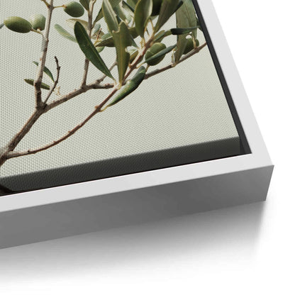 Olive Branch - Canvas