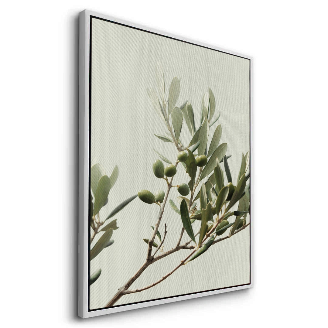 2Olive Branch - Canvas
