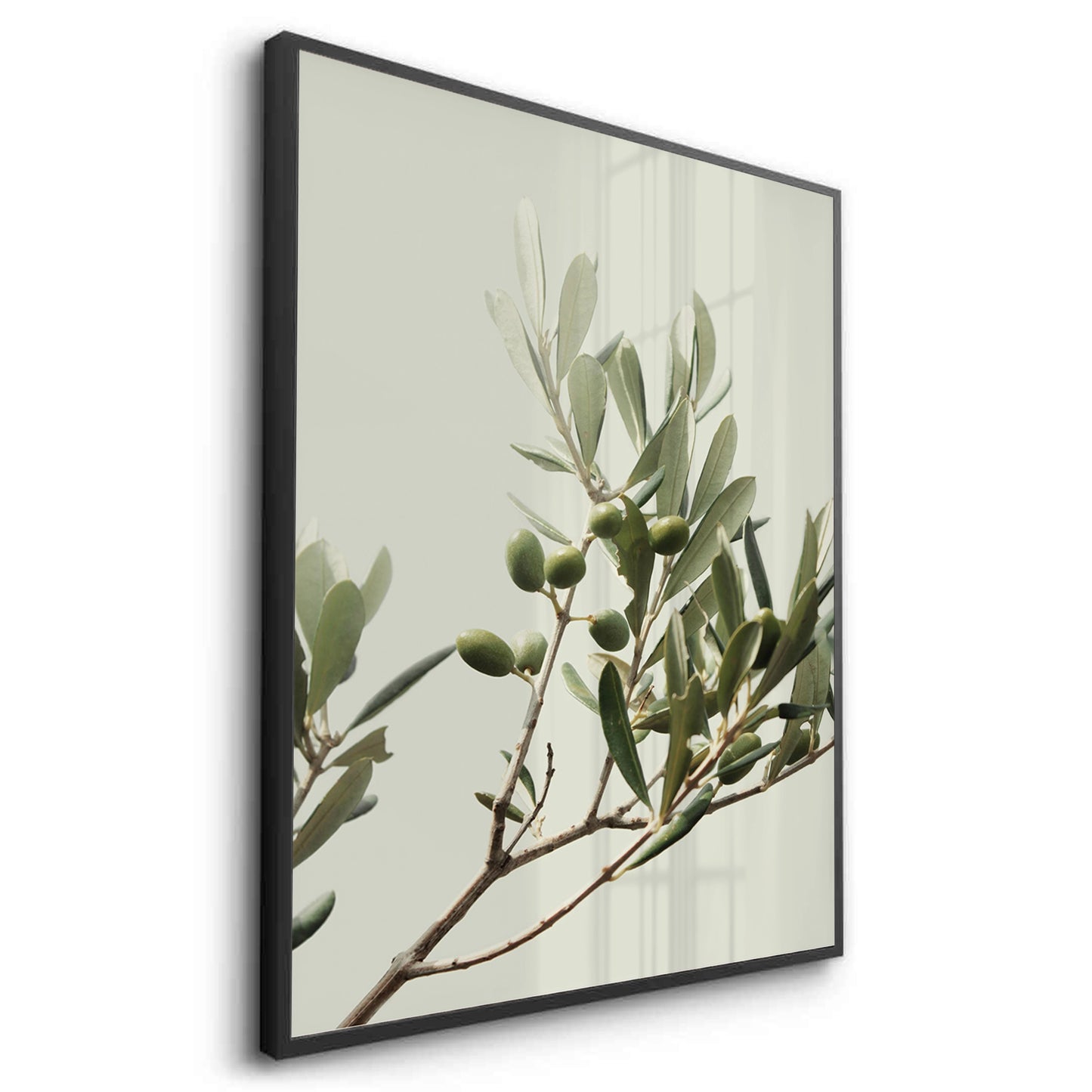 2Olive Branch - Fine Art