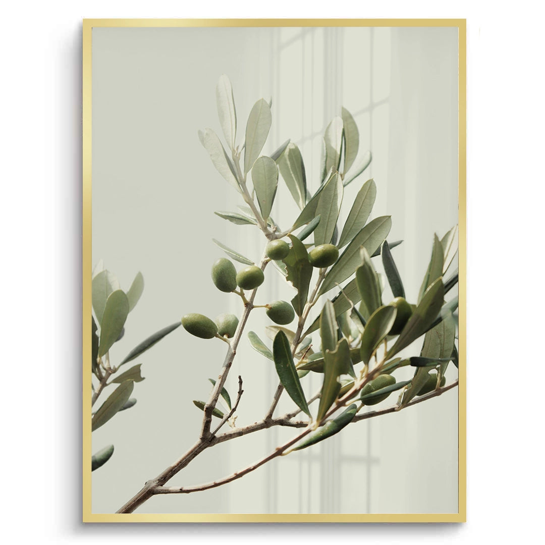 2Olive Branch - Fine Art