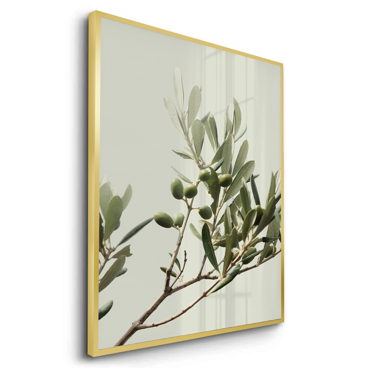 2Olive Branch - Fine Art