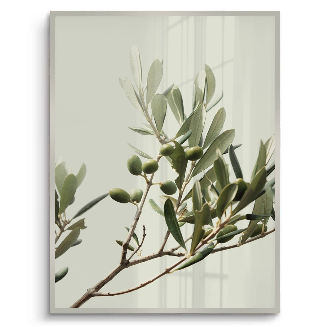 2Olive Branch - Fine Art