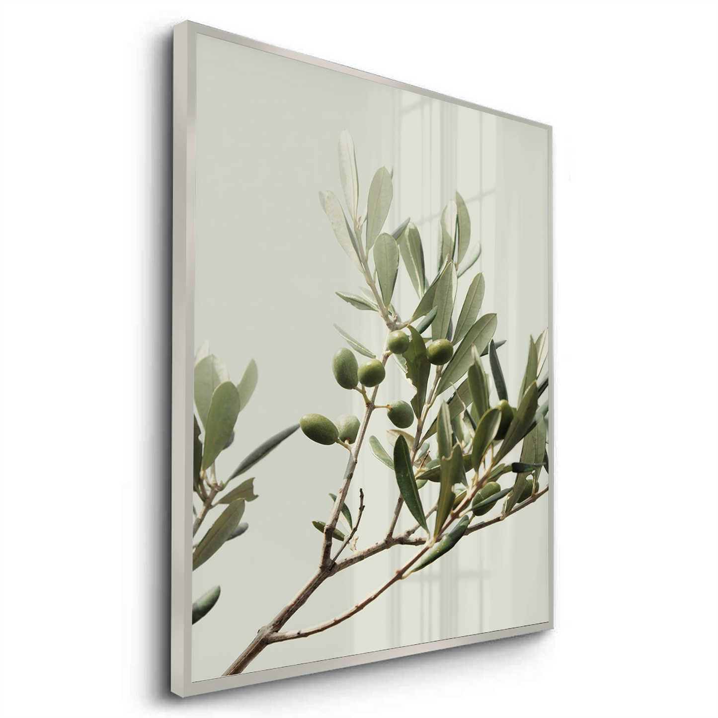 2Olive Branch - Fine Art
