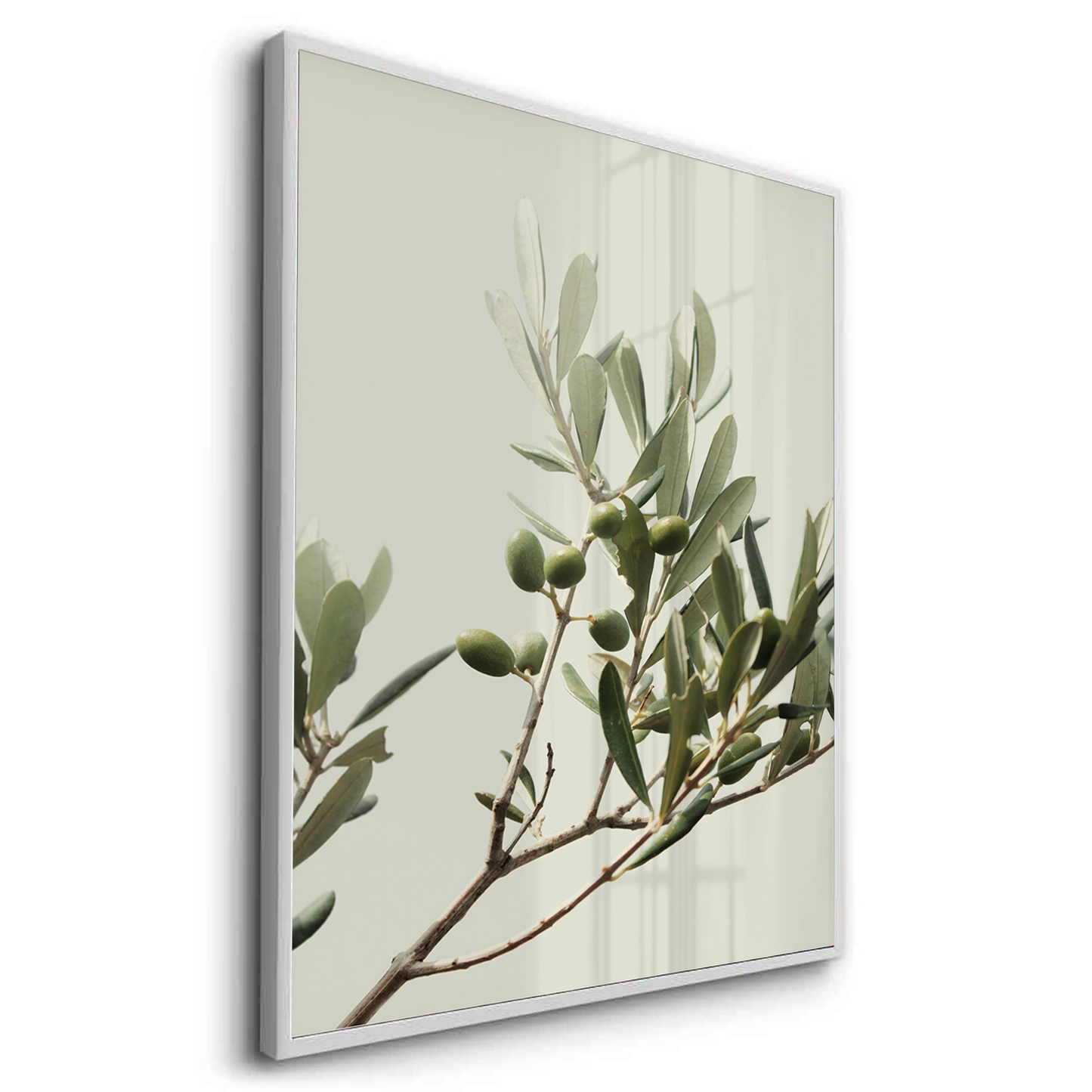 2Olive Branch - Fine Art