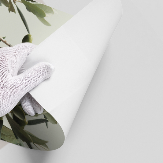 Olive Branch - Poster