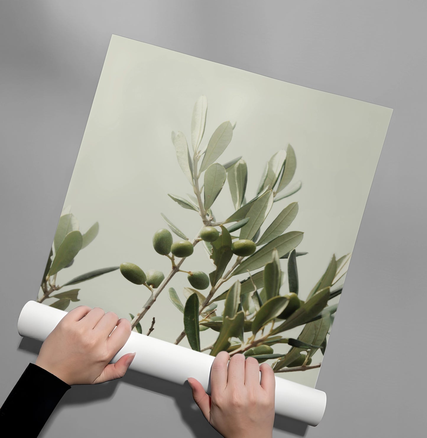 2Olive Branch - Poster