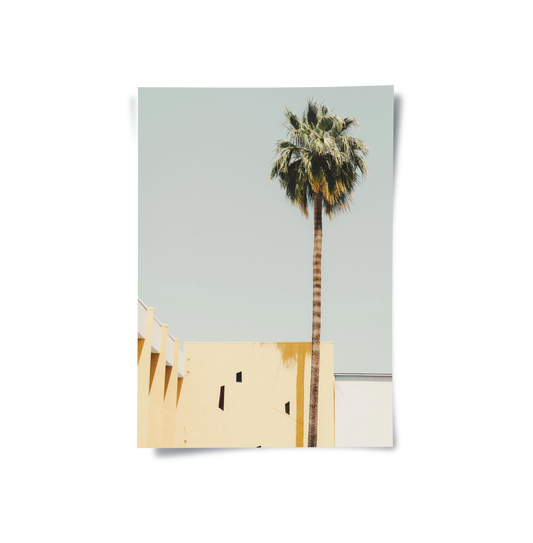 Palm Springs Aesthetic - Poster