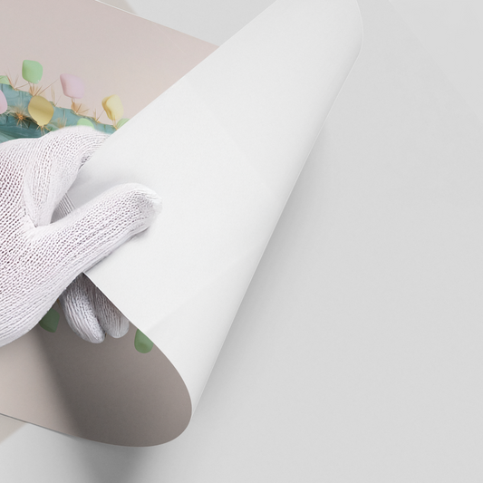 Pastel Cactus - Poster