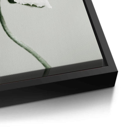 Poppy Flower - Canvas