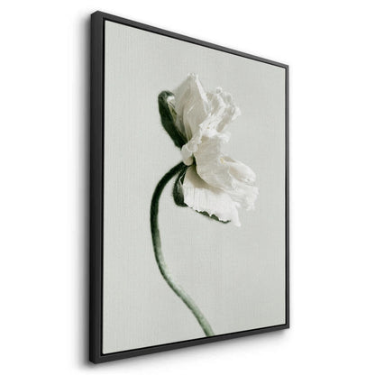 Poppy Flower - Canvas