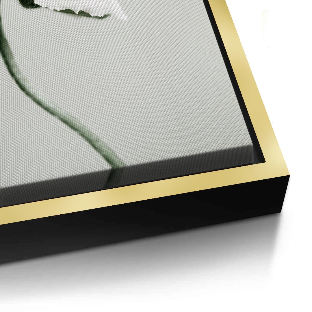 2Poppy Flower - Canvas