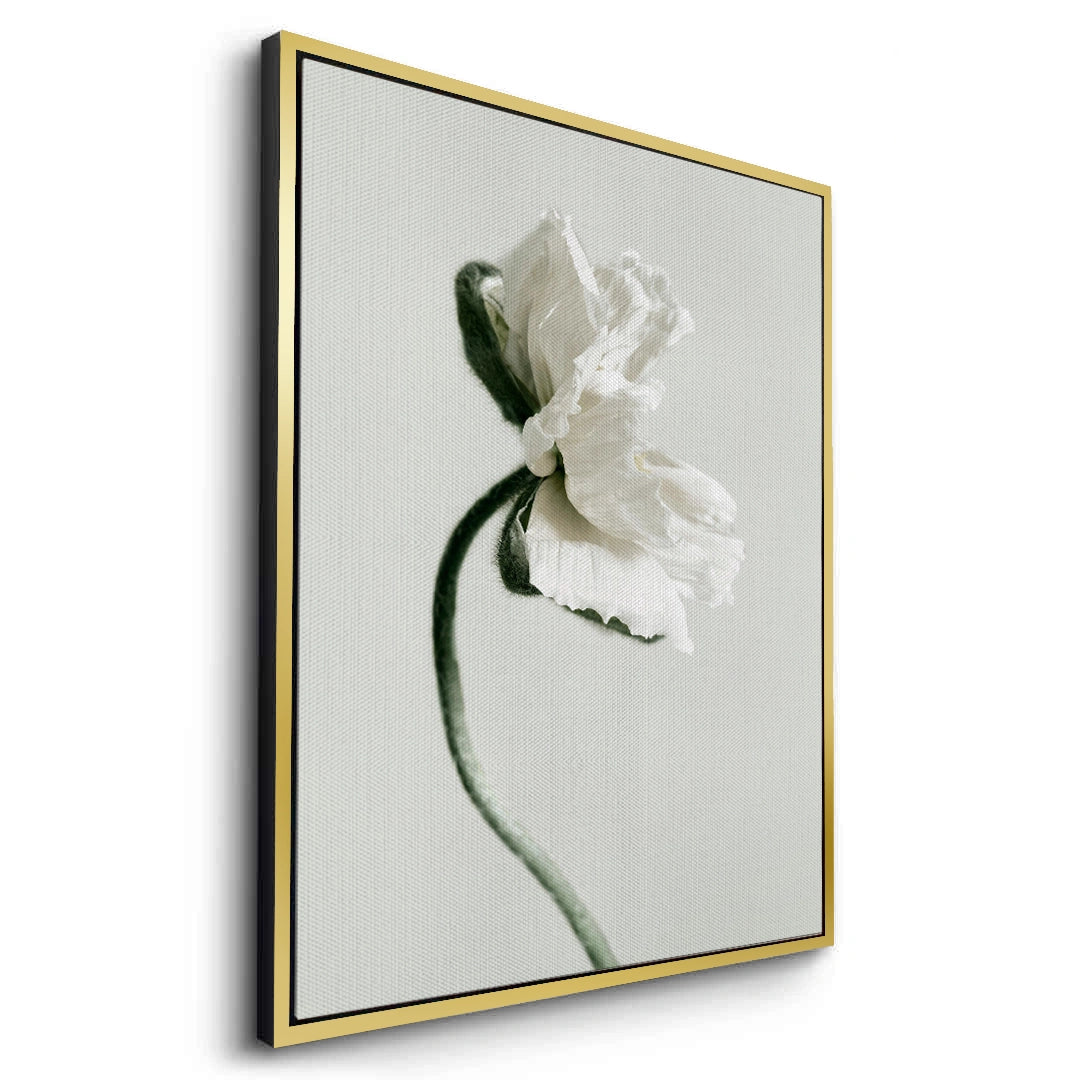 2Poppy Flower - Canvas