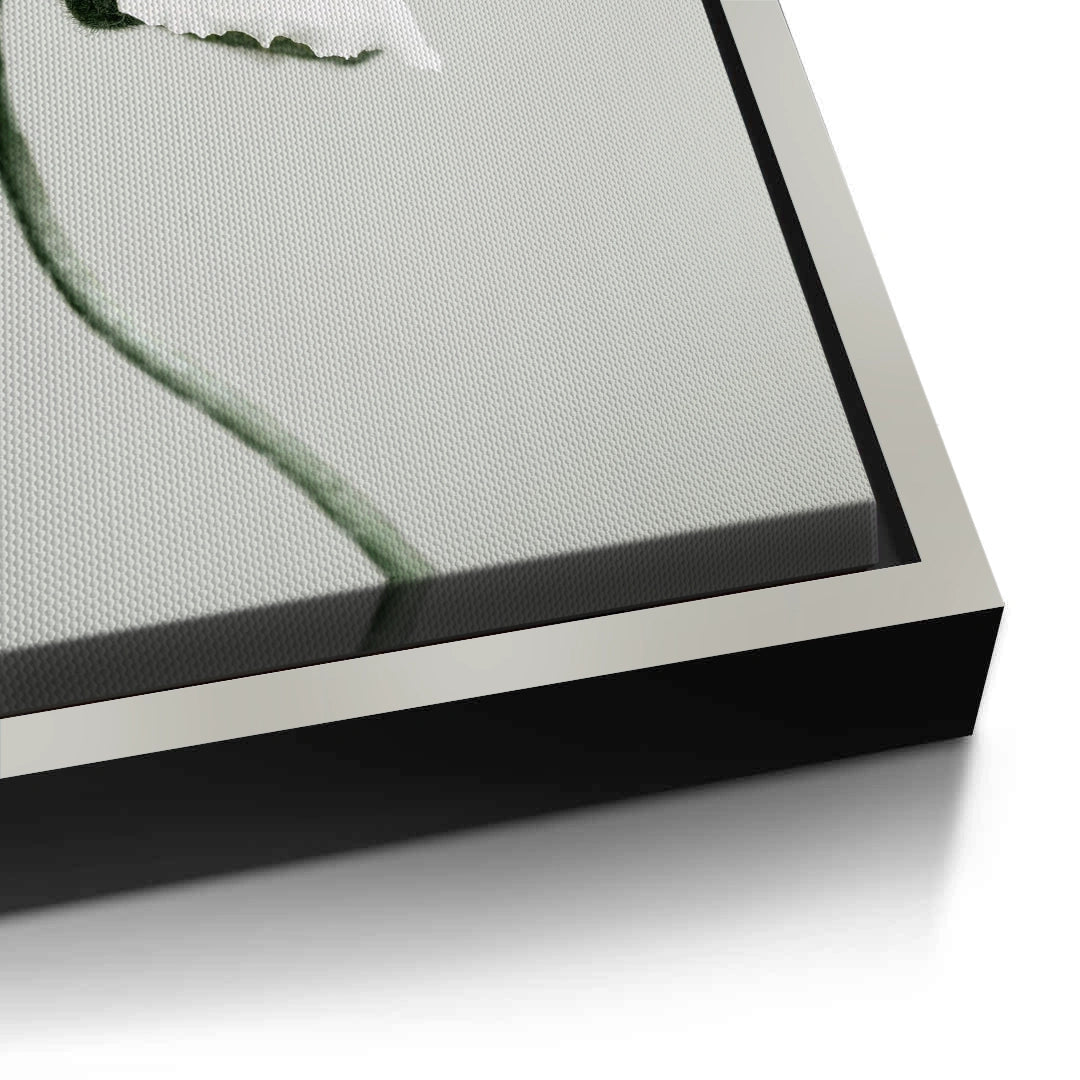 2Poppy Flower - Canvas